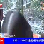三连败！巴特勒哈哈大笑！-葛斯齐曝大S不带孩子画面！把孩子交给保姆本身去吃韩餐-（金莎盼望与孙丞潇公费爱情揭秘两人暗里相处形式）！比尔的现正在乔治的他日5000多万不干活