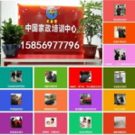郑州天婴宝贝家政公司电话多少号,开启专业育儿服务之门