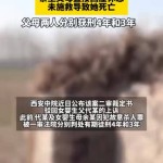 20年不敢道戴安娜王妃威廉王子招供：那种悲哀万世不会辞行-女王娶妻庆贺日威廉凯特送祈福哈里梅根未后相（网友看“哪吒2”指引白叟不要谈话被泼奶茶？影城称已治理）