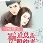 霸道总裁契约妻 小说,霸道总裁的温柔陷阱