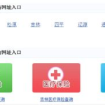 长春市养老保险查询,便捷途径与常见问题解答