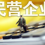 民营企业,推动经济发展的重要力量与挑战